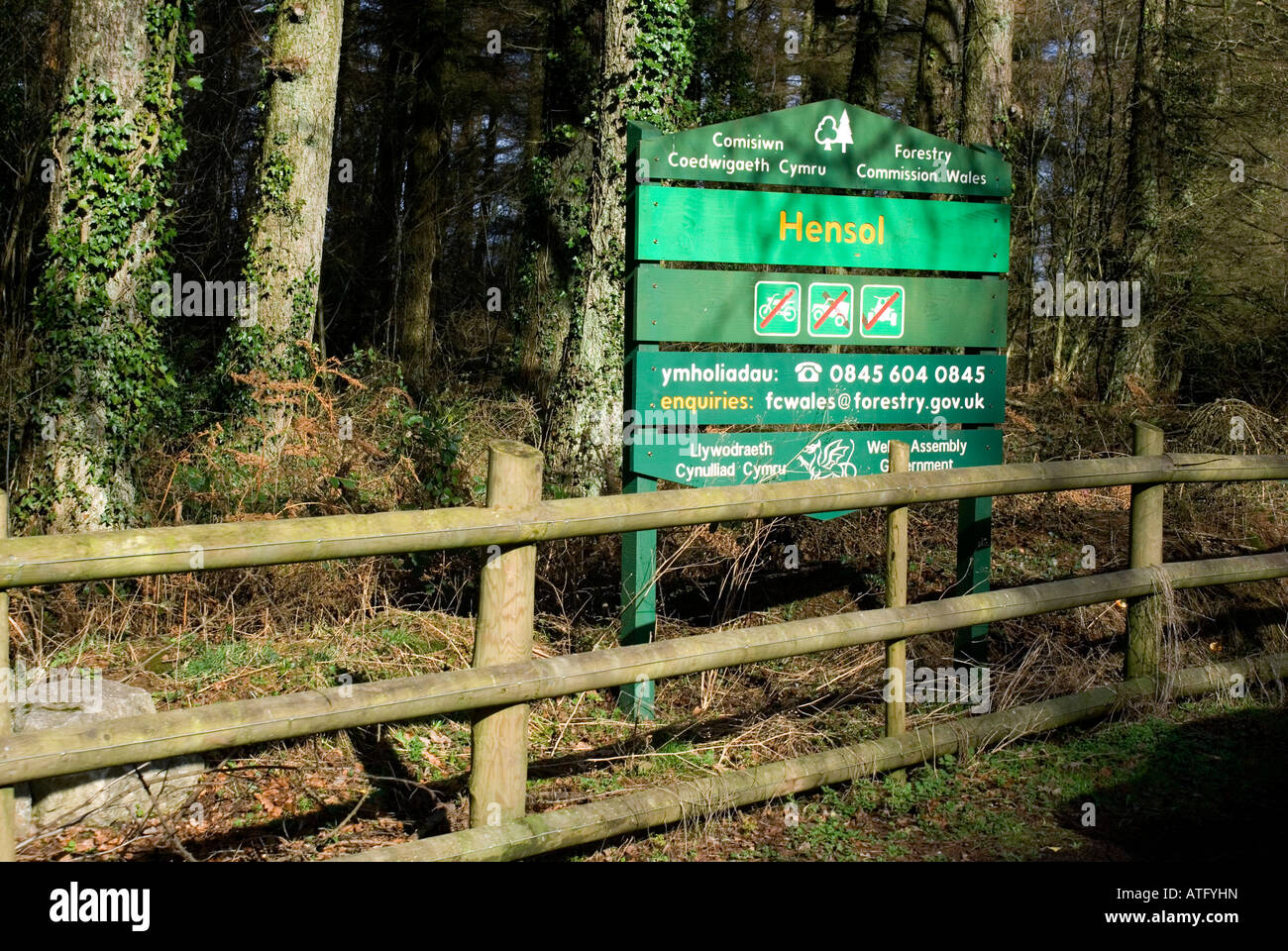 Commissione forestale segno hensol forest bonvilston Vale of Glamorgan Galles del Sud Foto Stock