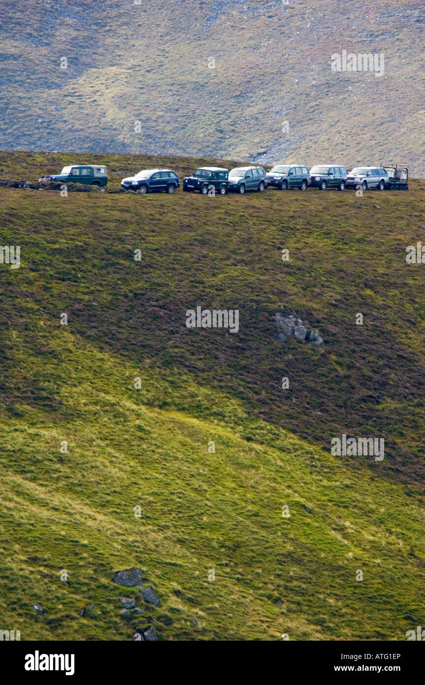 La trazione a quattro ruote motrici di veicoli appartenenti ad un partito di scatto su un fagiano di monte moro Foto Stock