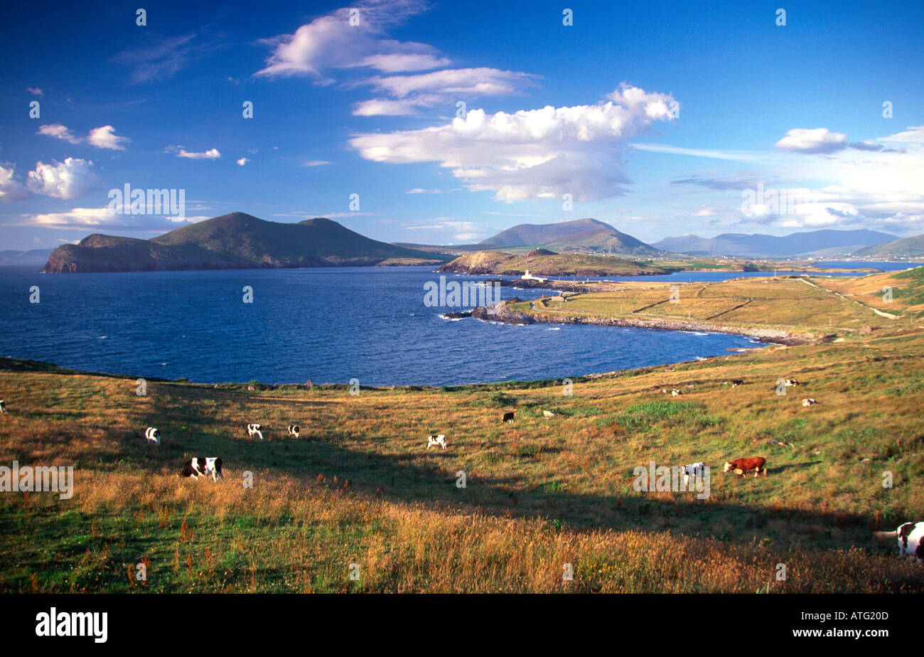 Doulus Testa e Cromwell Point lighthouse Valentia Isola Co Kerry Irlanda Foto Stock