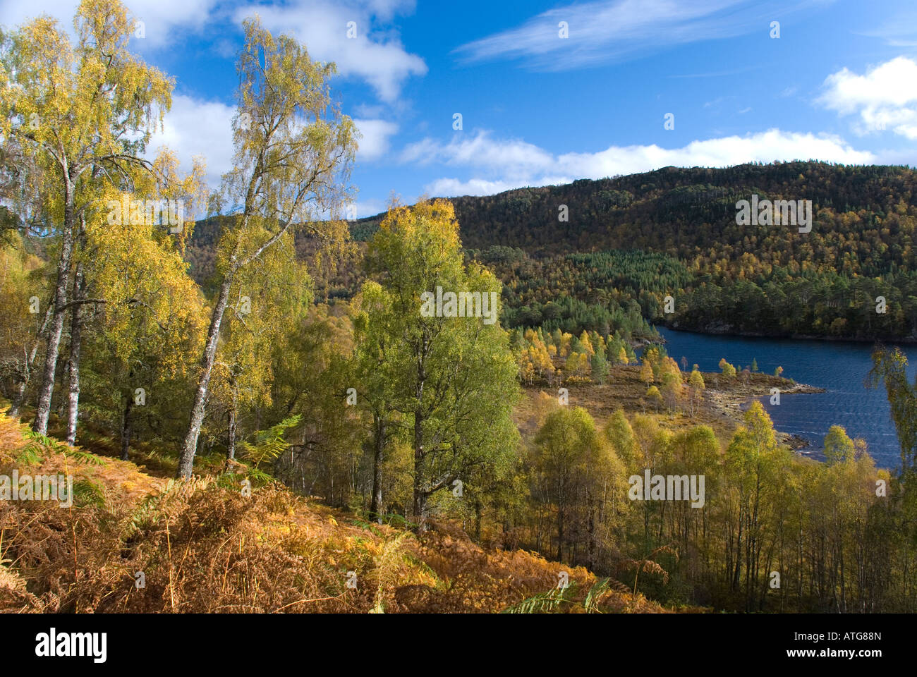 arrampicata Foto Stock