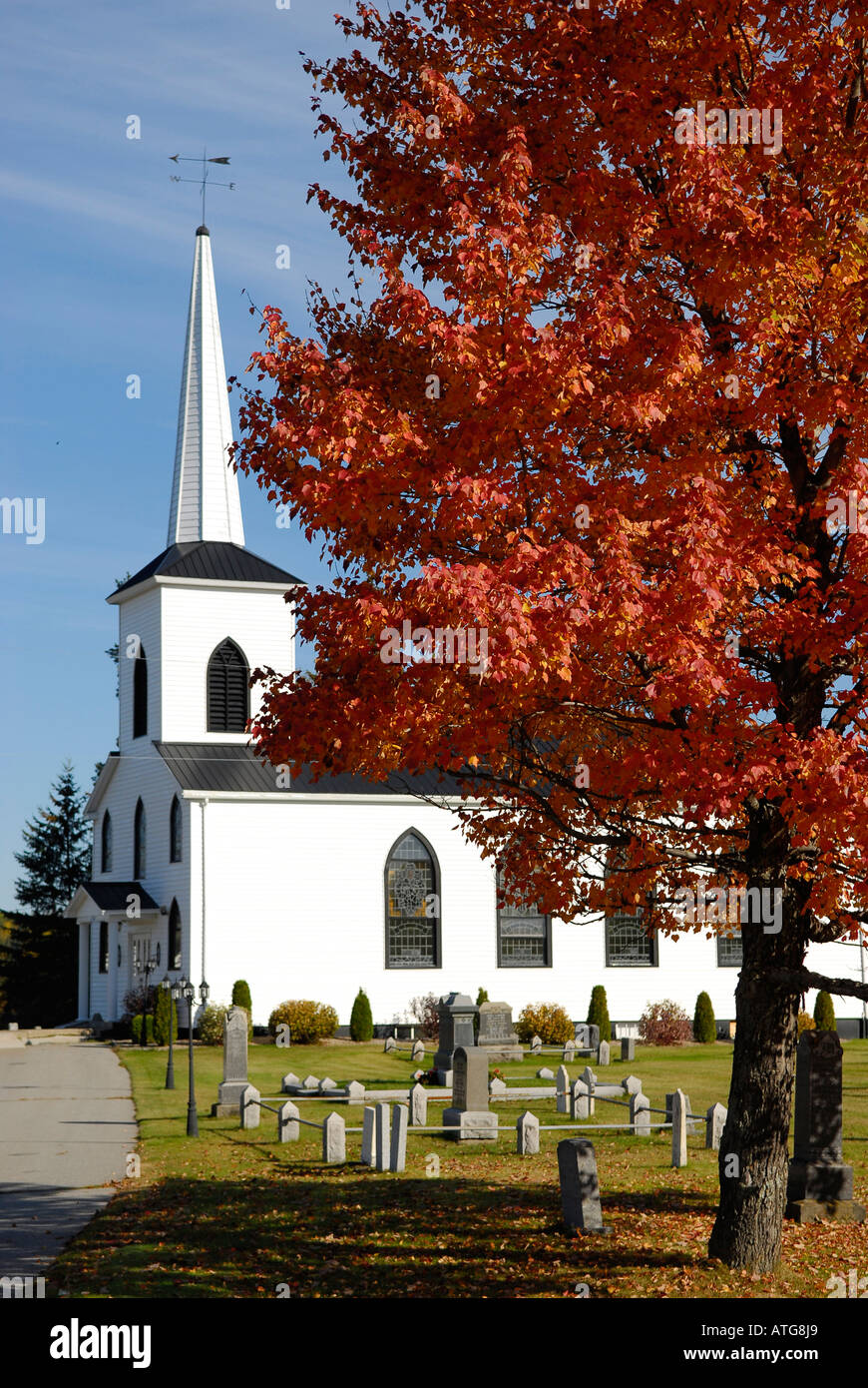 Immagine di stock di un bianco chiesa in legno con rosso fiammante acero in autunno pieno di colori Foto Stock