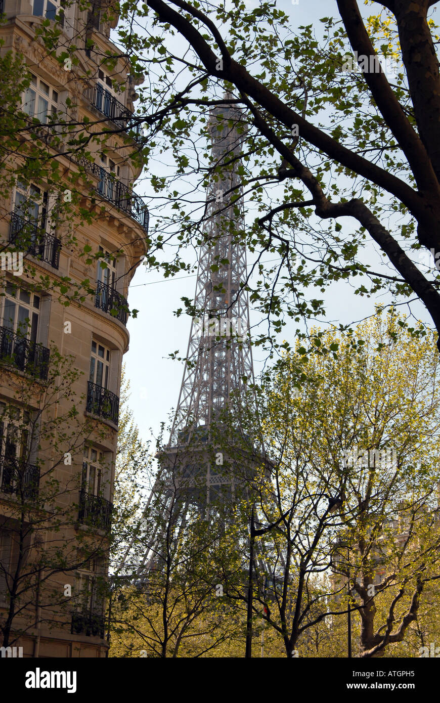 Torre Eiffel visto da una distanza attraverso la fioritura degli alberi Parigi Francia Foto Stock