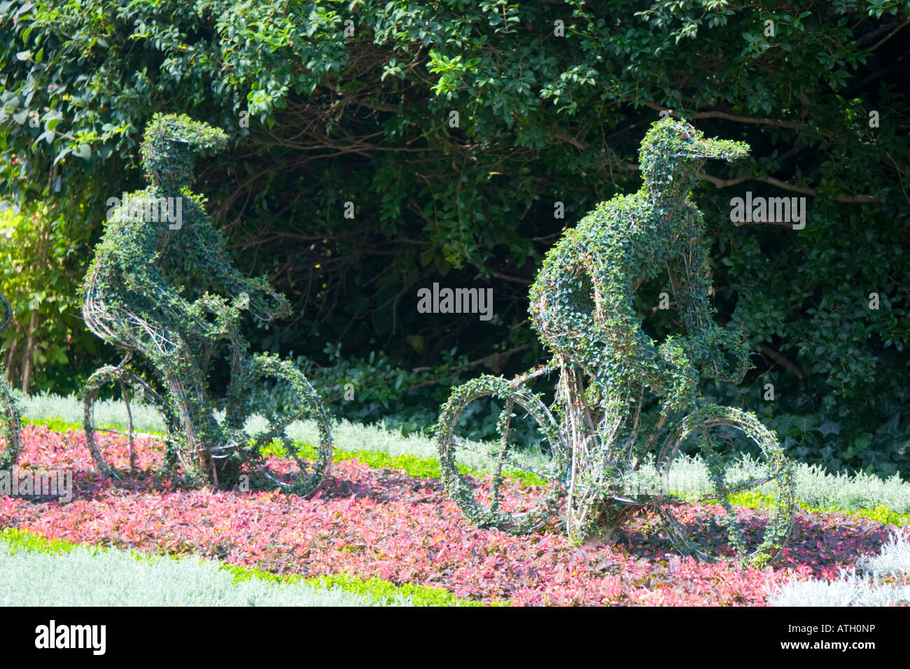 Topiaria da creato per celebrare il Tour de France cycle race a Londra Foto Stock