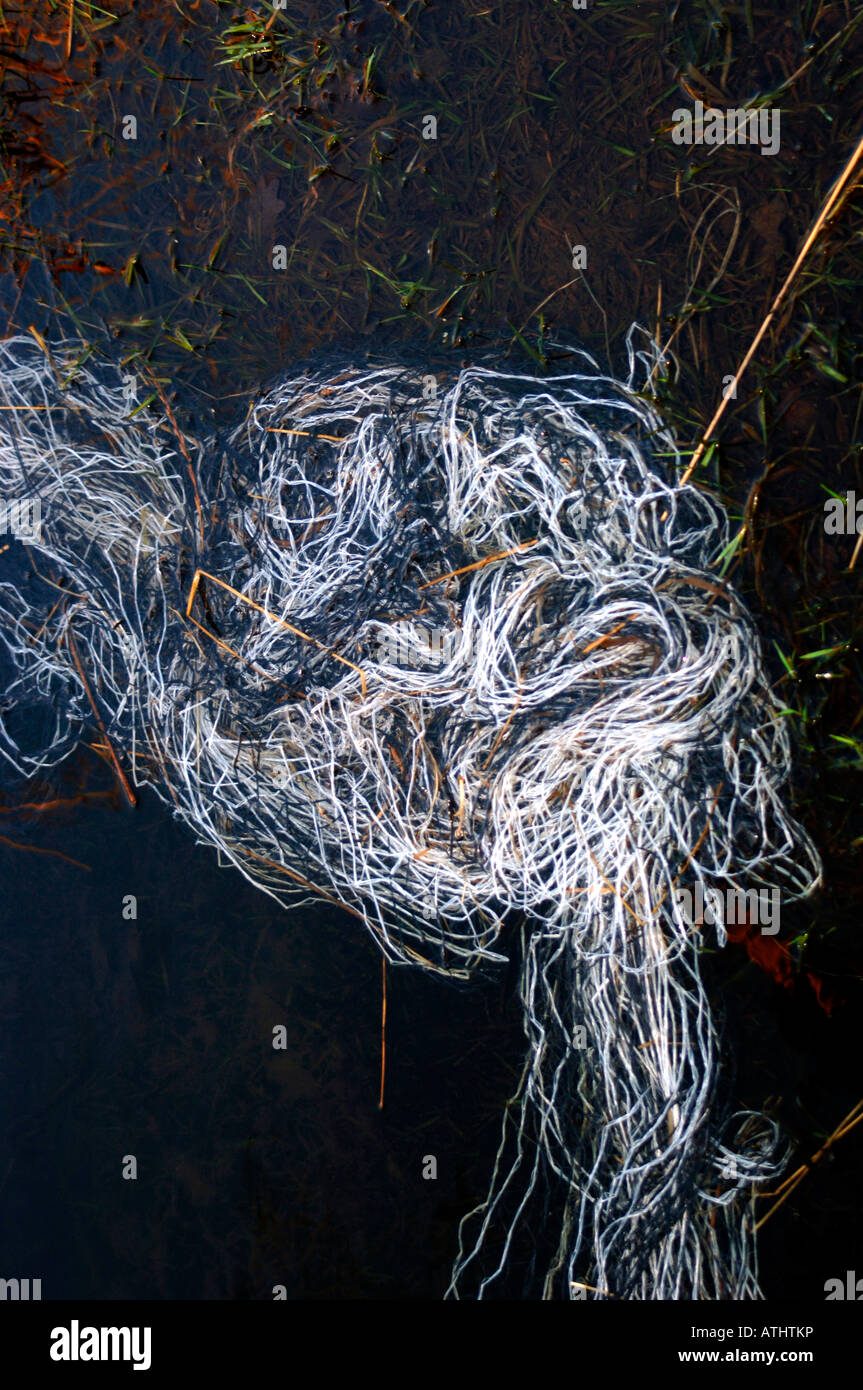 Politene filamenti che formano un grande disegno surreale.congelate su pozza d'acqua. Foto Stock