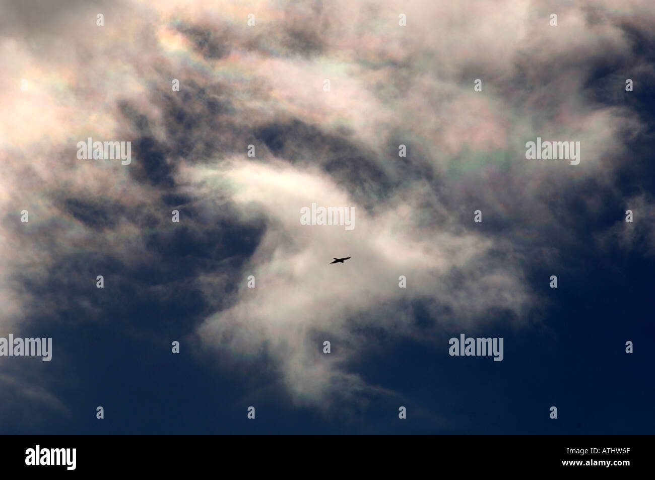 Cielo blu e nuvole astratto Foto Stock
