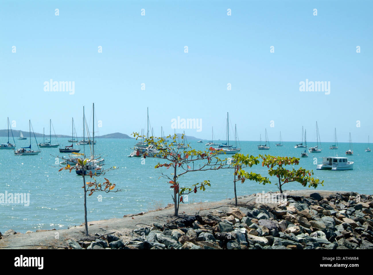 Spiaggia airlee queensland Proserpina Airlee Beach Australia australian vicino whitsunday island east coast airlee beach queensland Foto Stock