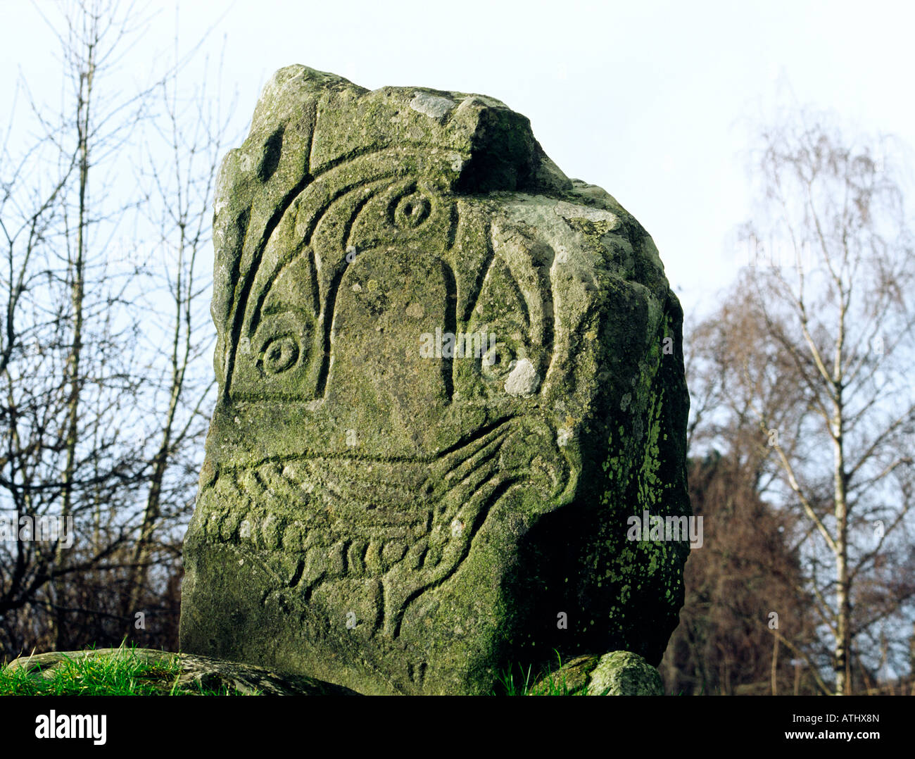Eagle bird motif scolpito sul monumento Pictish noto come EAGLE pietra a Strathpeffer, Cromarty, regione delle Highlands, Scozia. Foto Stock