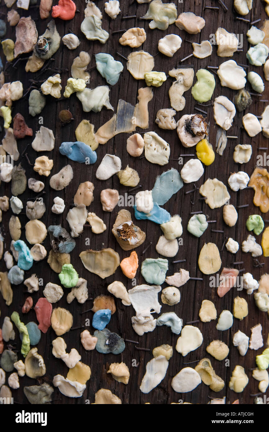 Usato la gomma da masticare incollato ad un palo telefonico Market St Charleston SC 30 Dicembre 2007 Foto Stock