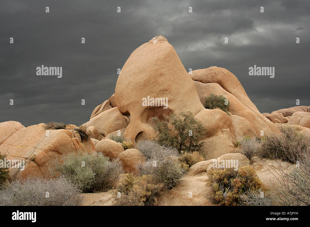 Cranio Rock nel Parco nazionale di Joshua Tree nel deserto di Mojave della California Foto Stock