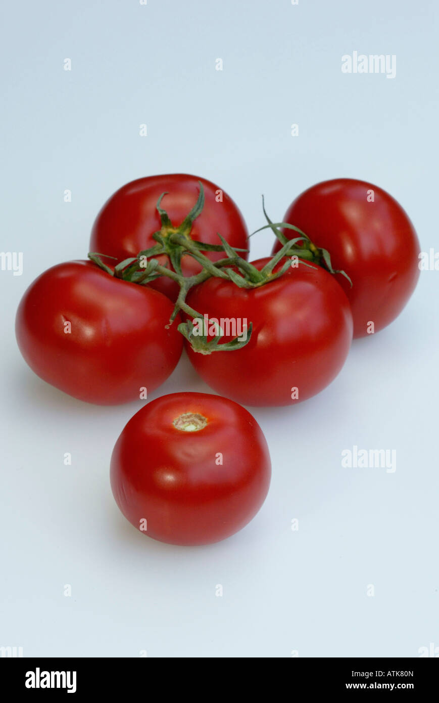 Pomodoro / Tomate Foto Stock