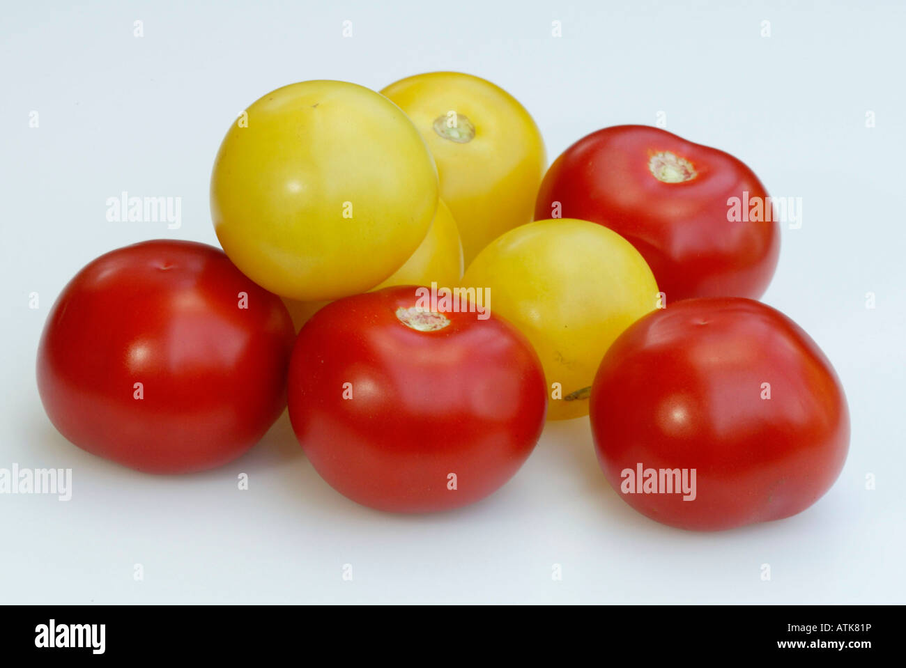 Pomodoro / Tomate Foto Stock
