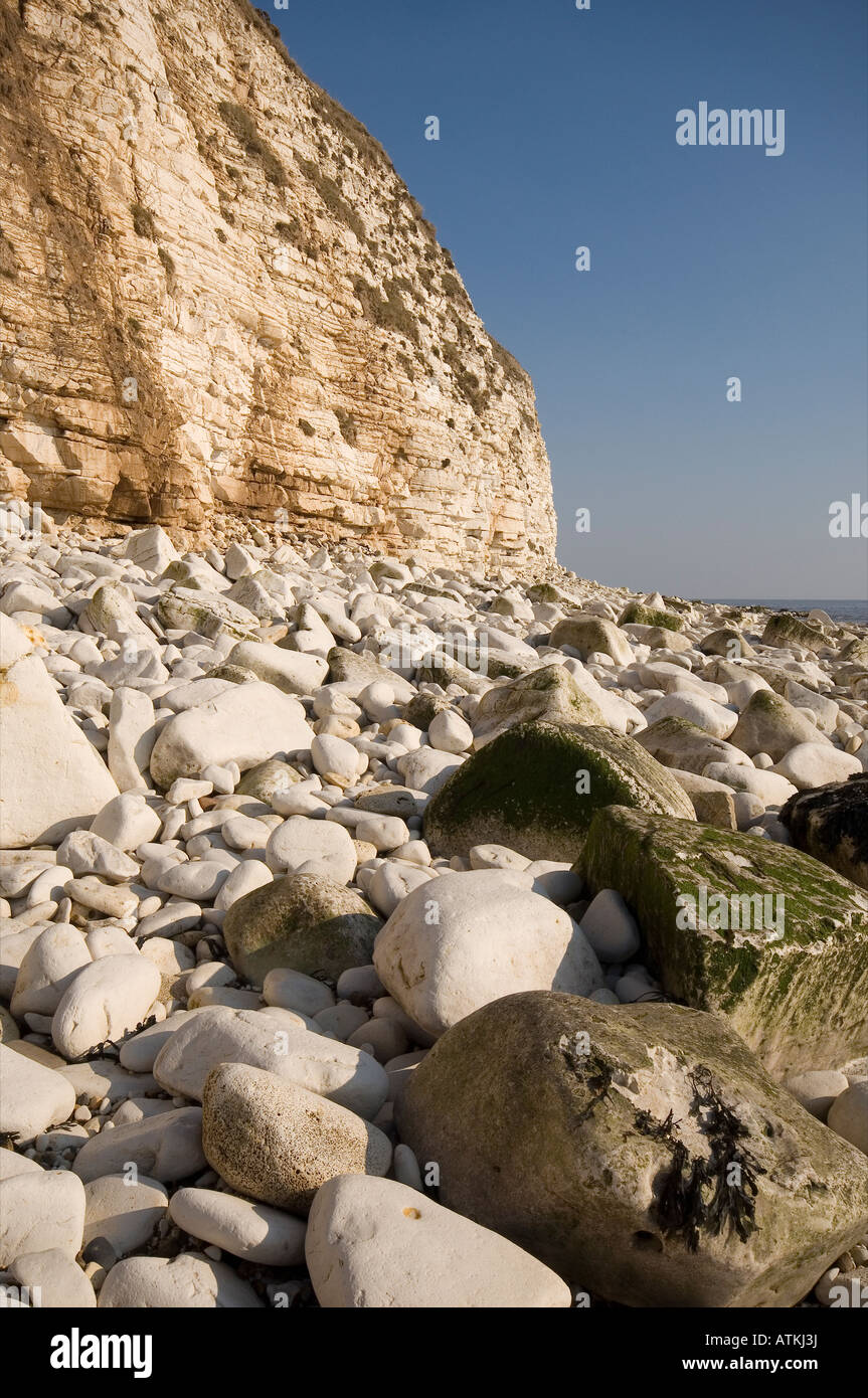 Rocce ciottoli sulla spiaggia South Landing Flamborough East Yorkshire Inghilterra Regno Unito GB Gran Bretagna Foto Stock