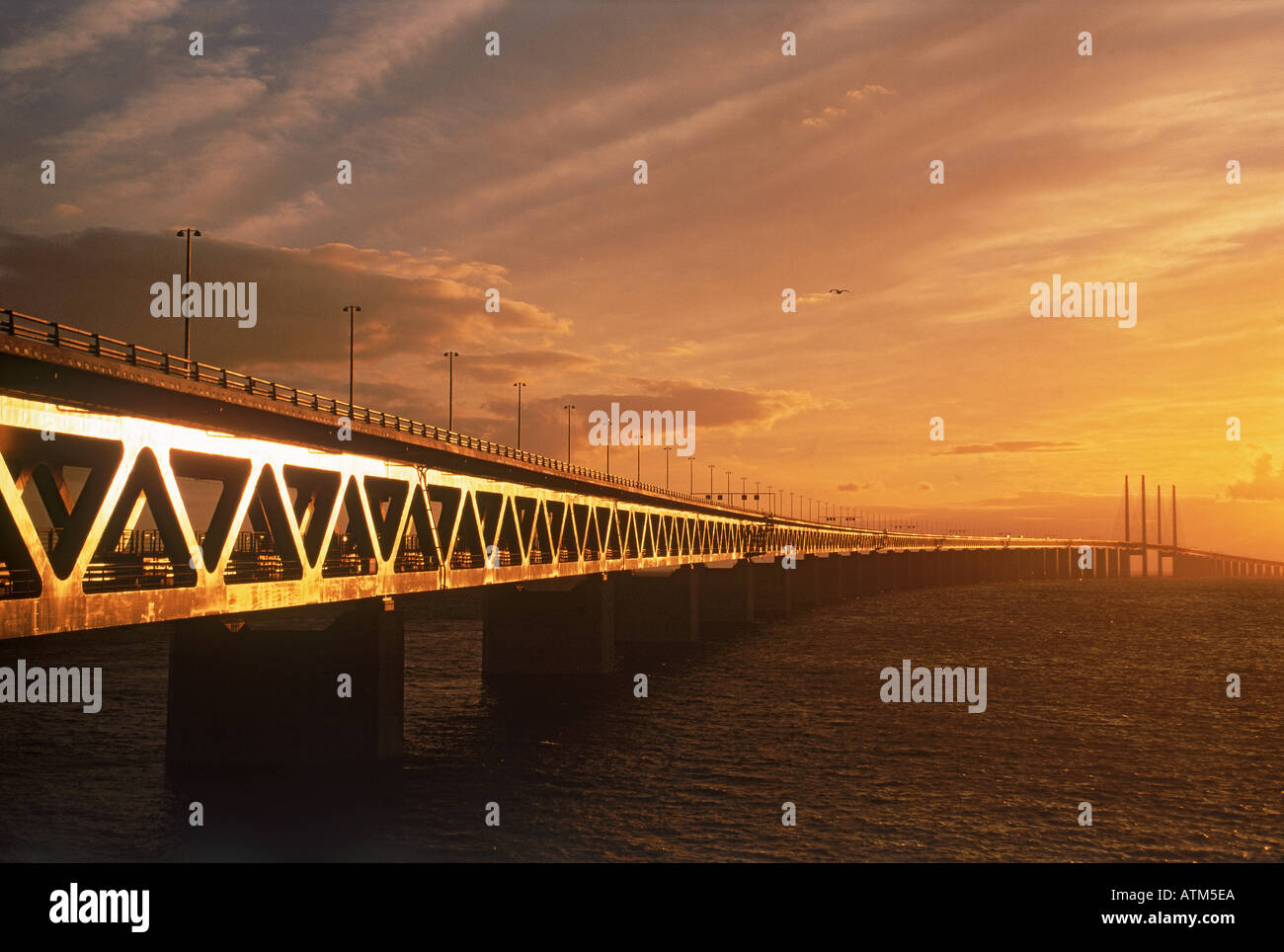 Ponte di Öresund o collegamento Øresund che collega la Danimarca e la Svezia Foto Stock