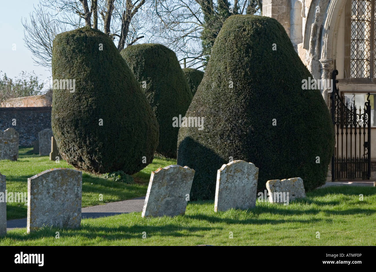 Long Melford, Suffolk, Regno Unito. Chiesa della Santa Trinità. Ritagliato yew boccole coprire le lapidi del cimitero Foto Stock
