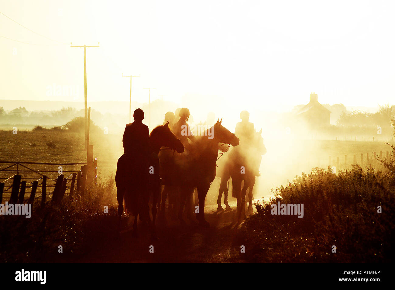 La caccia alla volpe cubbing / in pewsey vale, mattina Foto Stock