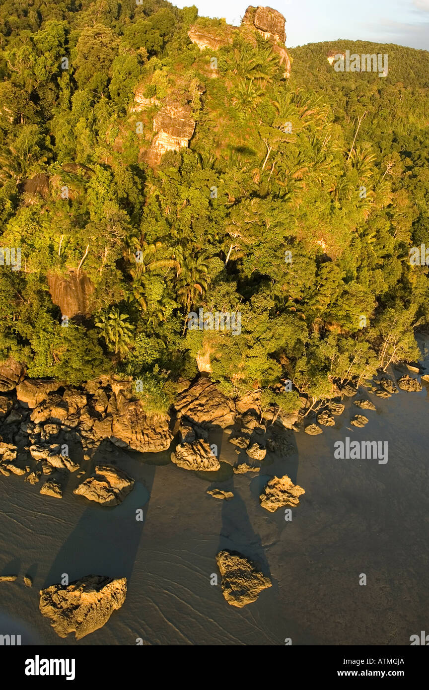 Vista aerea della foresta pluviale di pianura e la costa rocciosa di Bako National Park Sarawak Borneo Malaysia Foto Stock