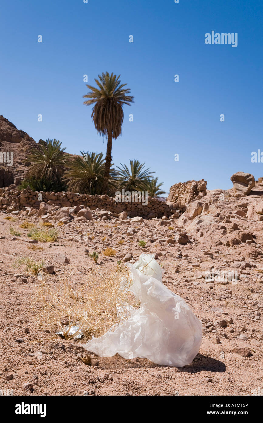 Un sacchetto di plastica scartò i rifiuti da un'oasi nell'habitat remoto del deserto. Sinai Deserto Egitto Asia Foto Stock