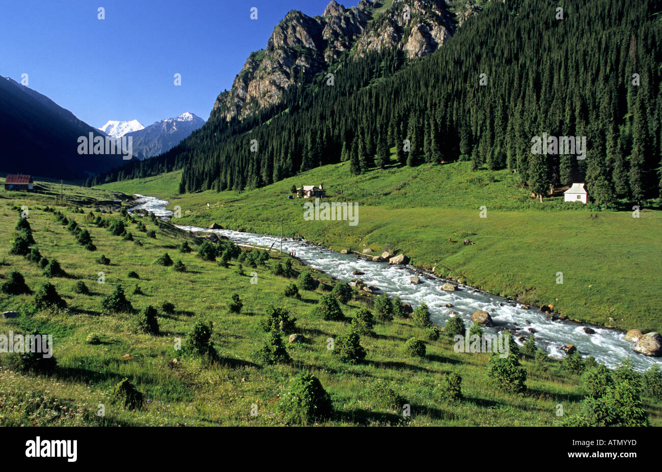Altyn Arashan valle con il fiume Arashan Terskey Alatau montagne Tian Shan in Kirghizistan Foto Stock