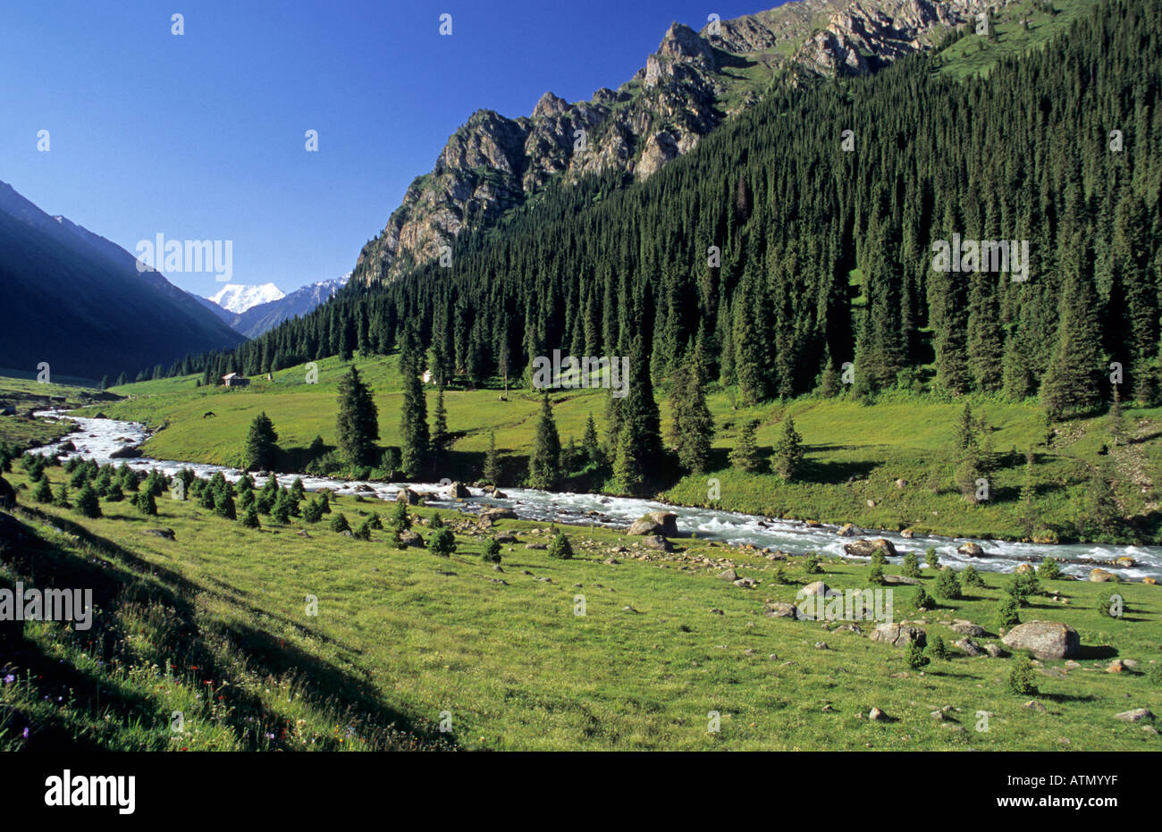 Altyn Arashan valle con il fiume Arashan Terskey Alatau montagne Tian Shan in Kirghizistan Foto Stock