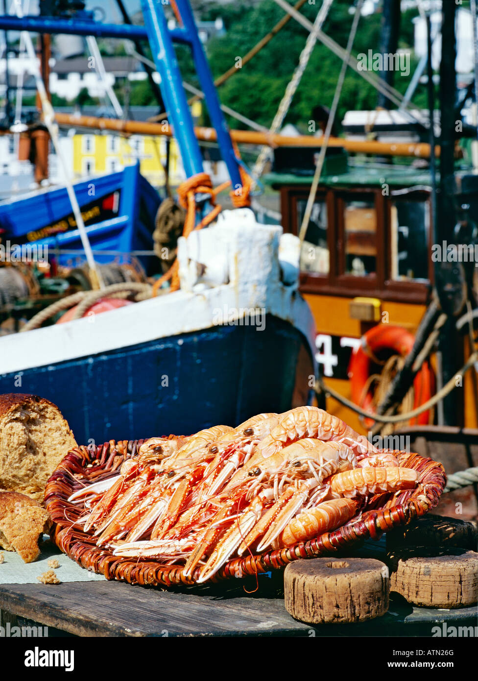 Loch Fyne, Scozia occidentale è famosa a livello internazionale per la qualità elevata di gamberi, langoustine. Qui nel porto di pescatori a Tarbert Foto Stock