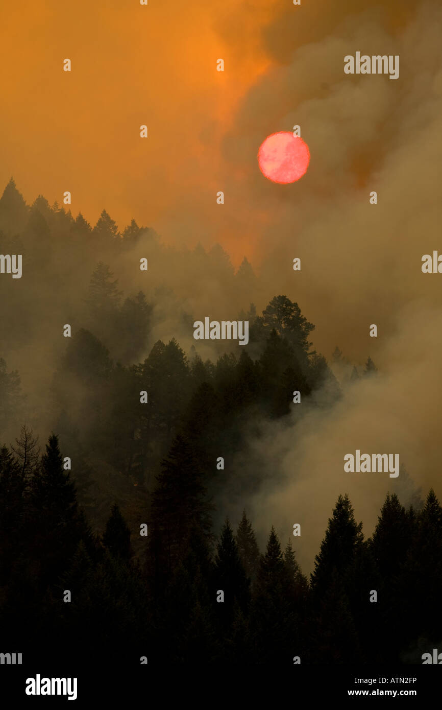Castle Rock il fuoco brucia appena a nord di Sun Valley Idaho su Butte di Griffin con intenso calore provocando ondate di calore rendendo astratto di Sun Foto Stock