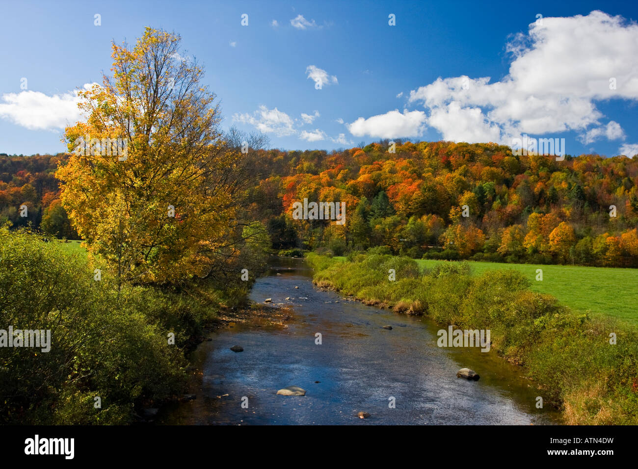 Ramo nord del fiume Deerfield vicino a Weston, Vermont Foto Stock