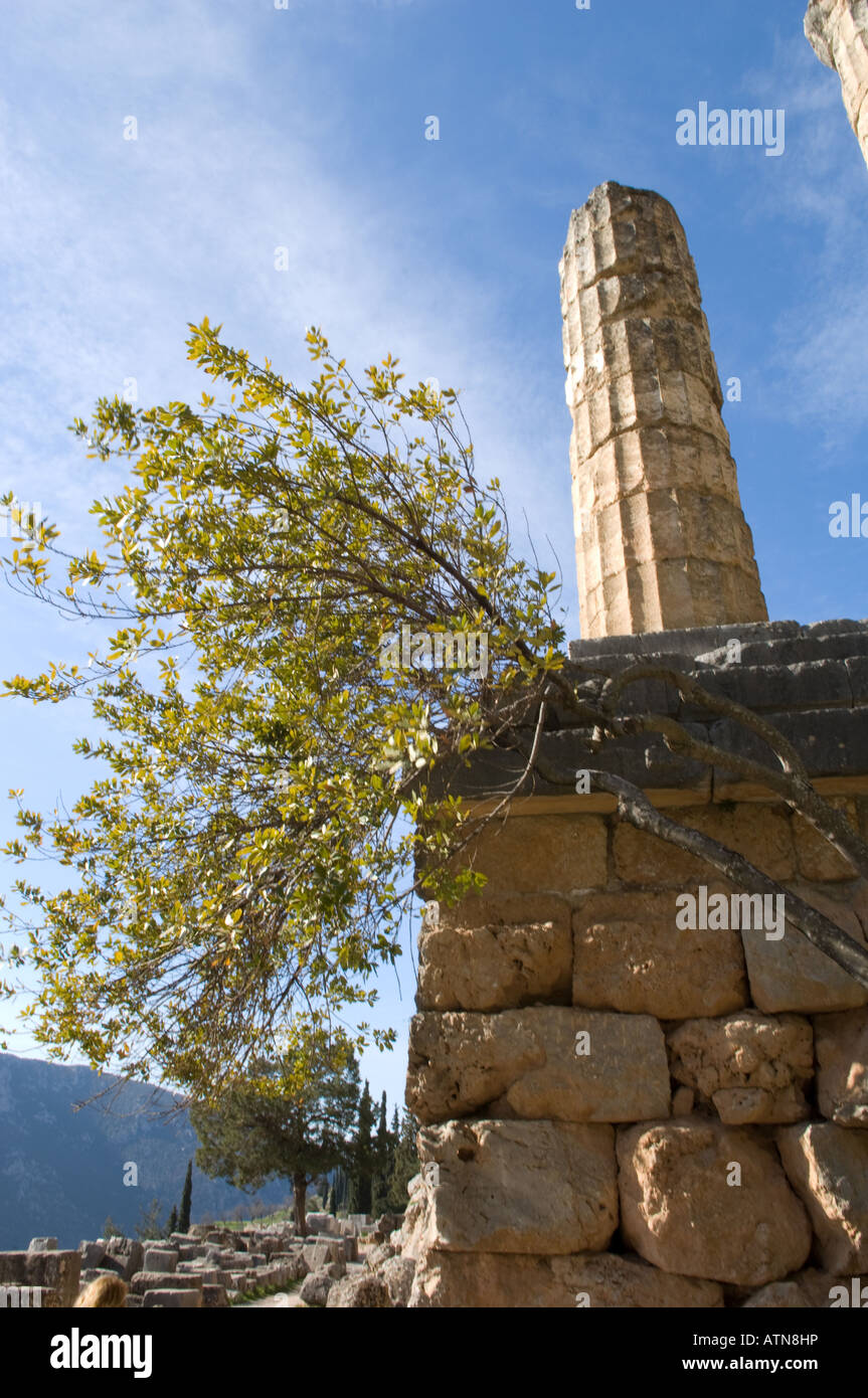 Antico sito in Delphi, Grecia Foto Stock