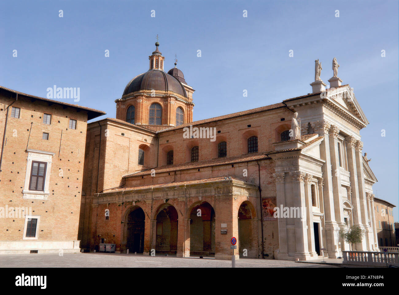 Urbino Italia Il Duomo Foto Stock