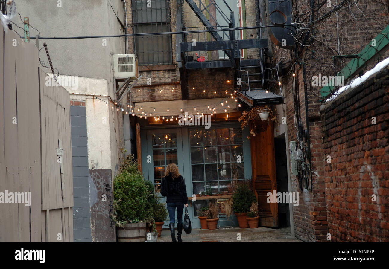 Freeman's Alley un vicolo nascosto nel Lower East Side di New York Foto Stock