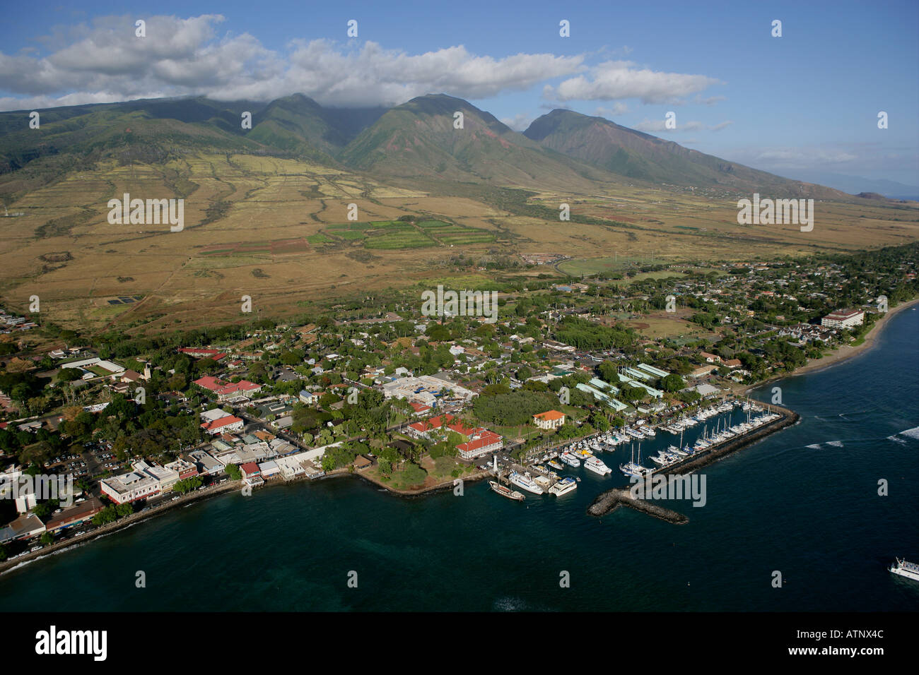 Lahaina, Maui, Hawaii, STATI UNITI D'AMERICA Foto Stock