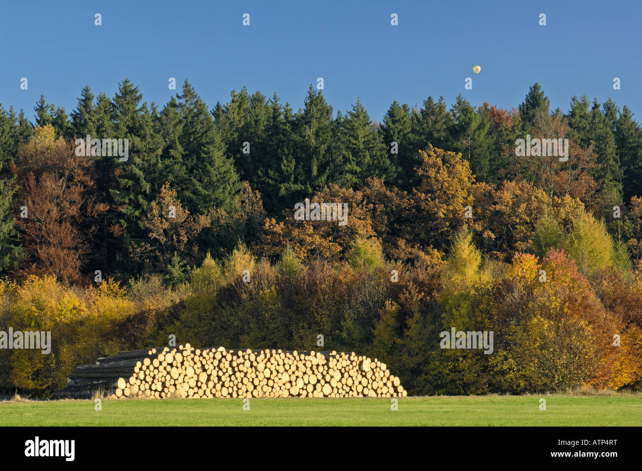 Forrest e struttura impilata log in autunno palloncino nel cielo Alta Baviera Germania Foto Stock