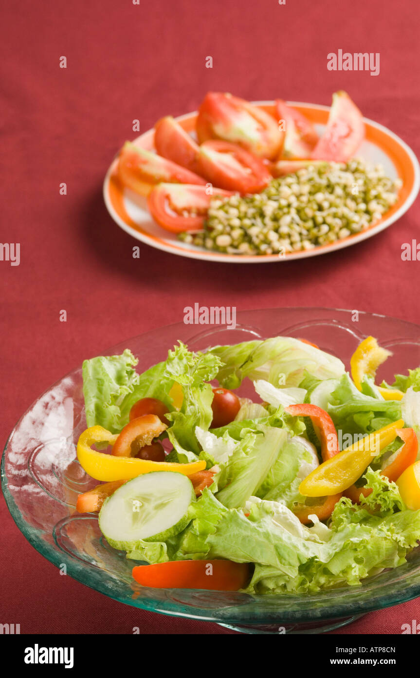 Close-up di due piastre di insalata e un germoglio di fagiolo con le fette di pomodoro Foto Stock