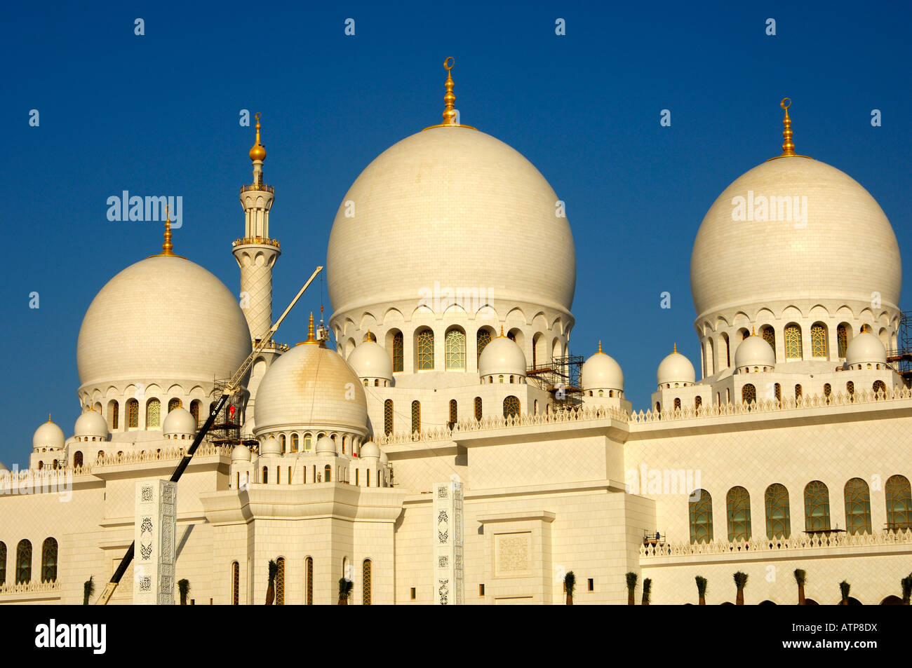 Le cupole principale di Sheikh Zayed Bin Sultan Al Nahyan mosque grande Moschea di Abu Dhabi Emirati Arabi Uniti Foto Stock