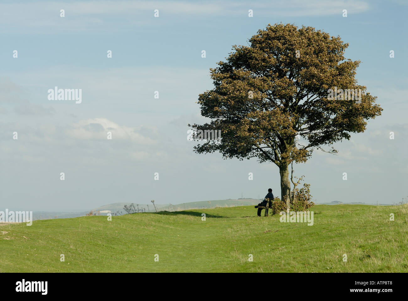 Una donna in appoggio su una panchina sotto un albero a Cissbury Ring Findon vicino a Worthing Hazey giorno Foto Stock