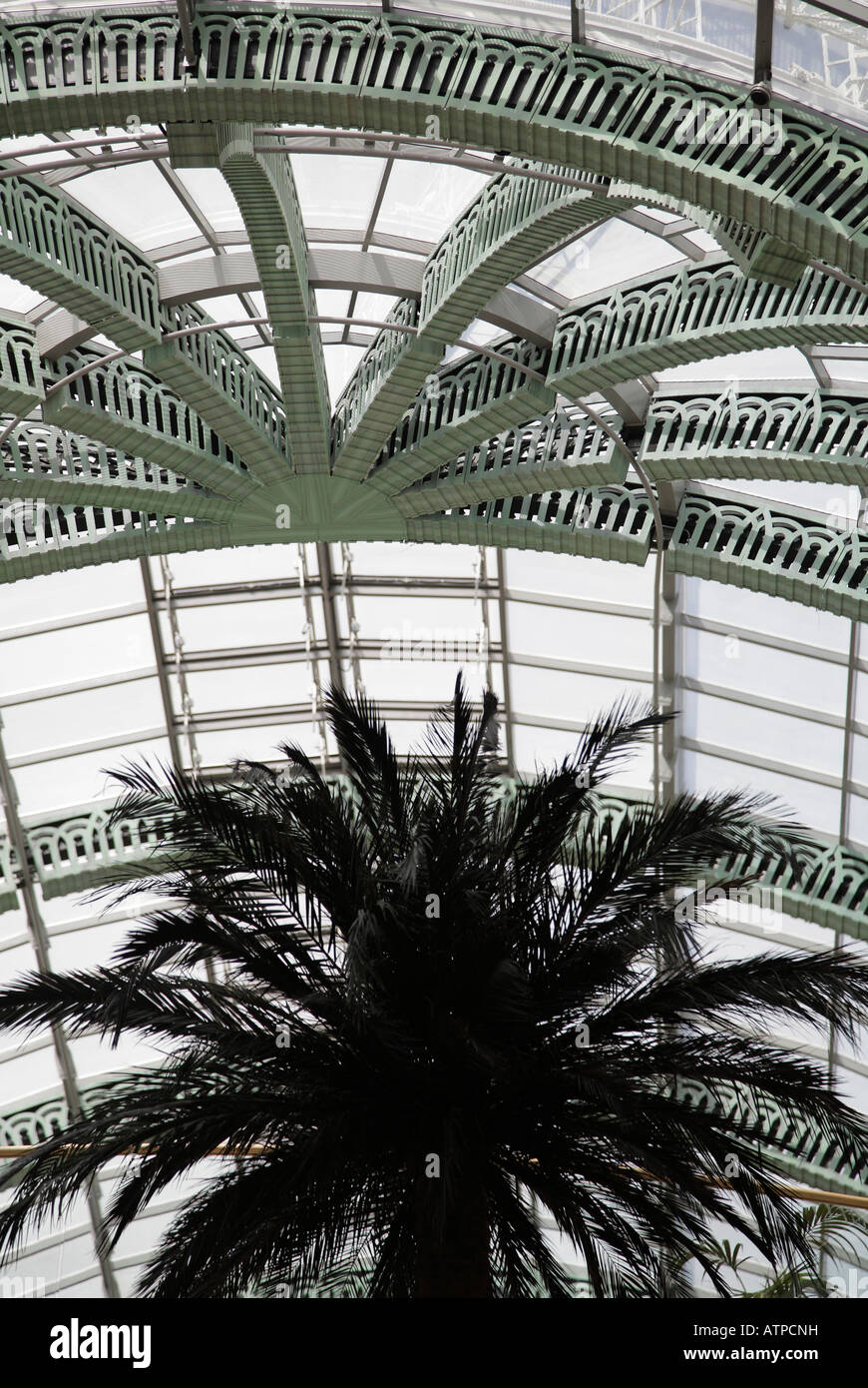 Echi di palme- Mall of the Emirates, Dubai Foto Stock
