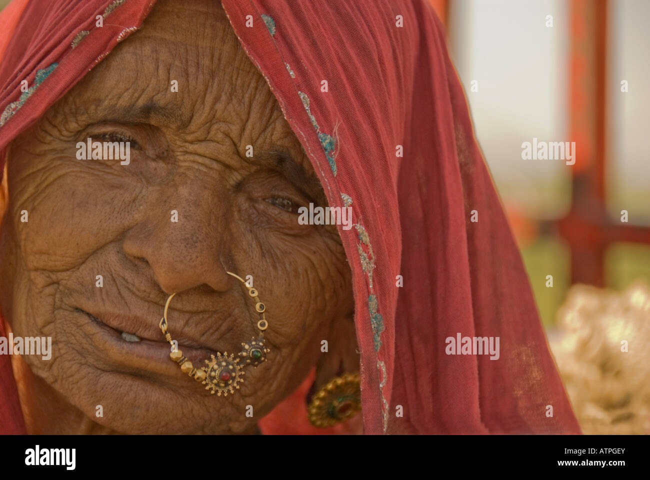 Ritratto di un Anziano Rajput donna con un Jeweled naso-ring e Sari Foto Stock