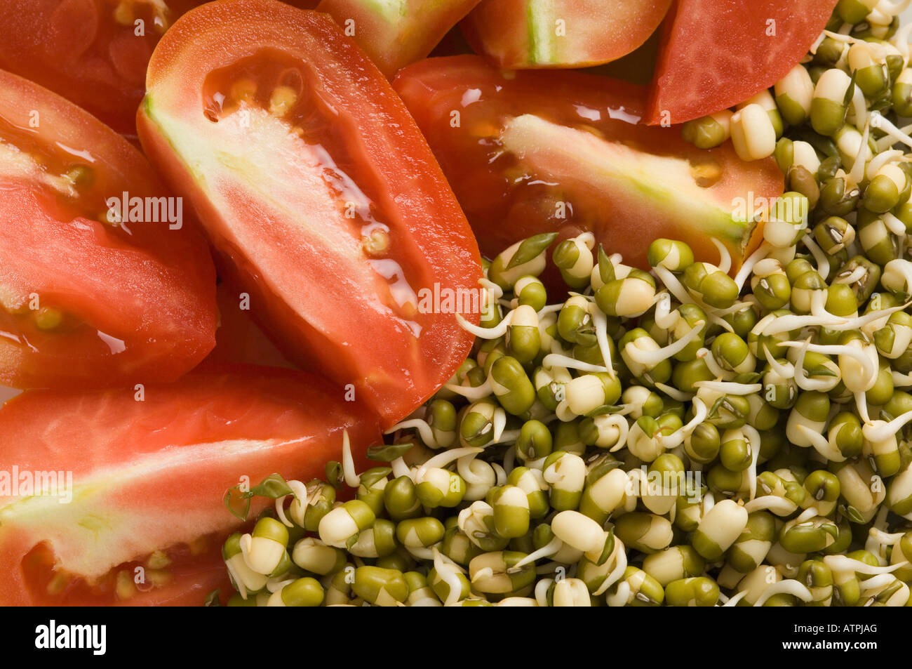 Close-up di germoglio di fagiolo con fette di pomodoro Foto Stock