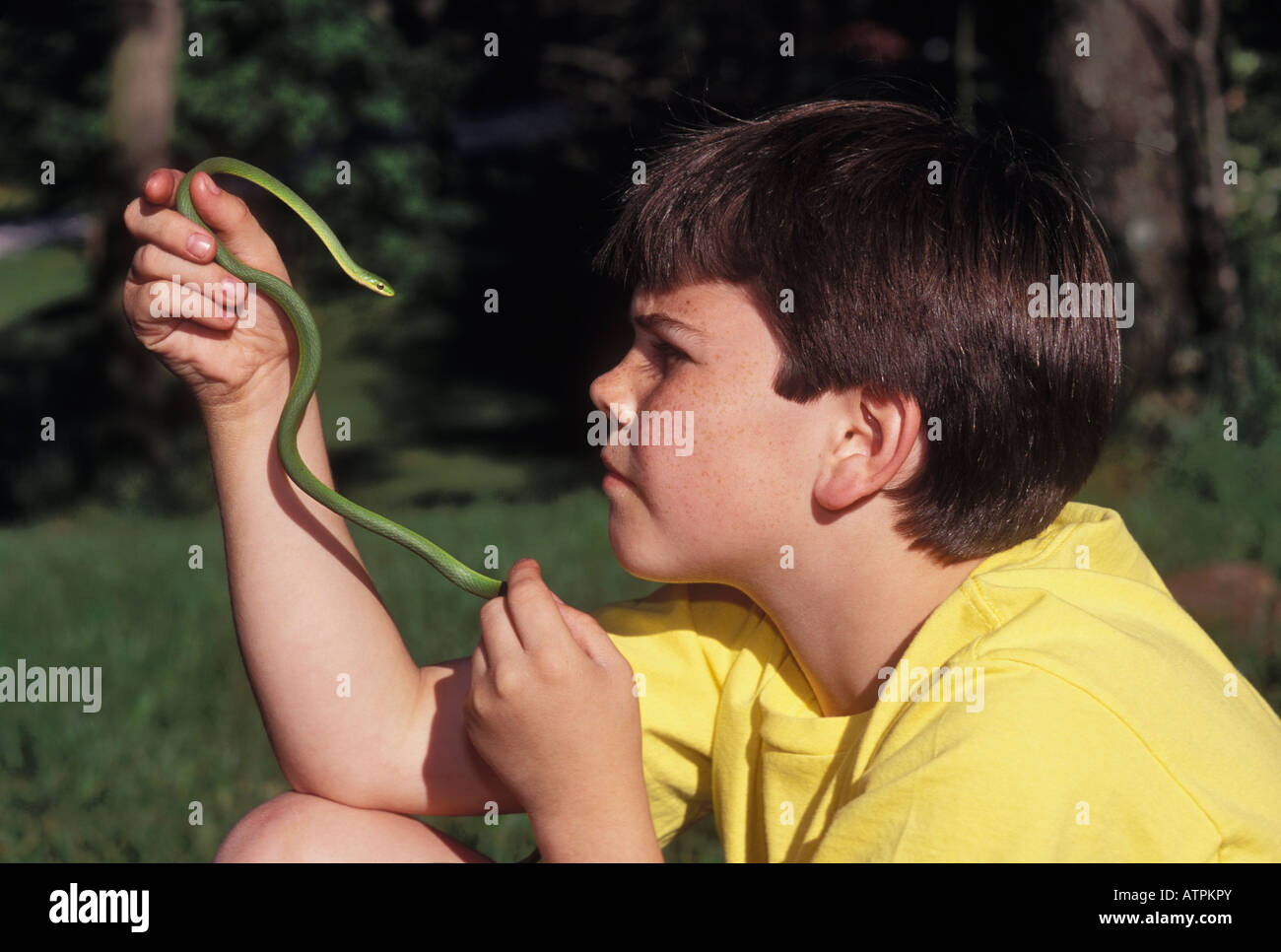 Ragazzo giovane esaminando una ruvida Green Snake Floyd County Indiana Foto Stock