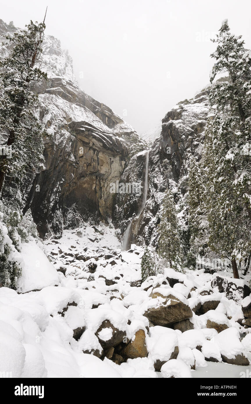 Abbassare Yosemite Falls circondato da bianchi dopo la nevicata. Foto Stock