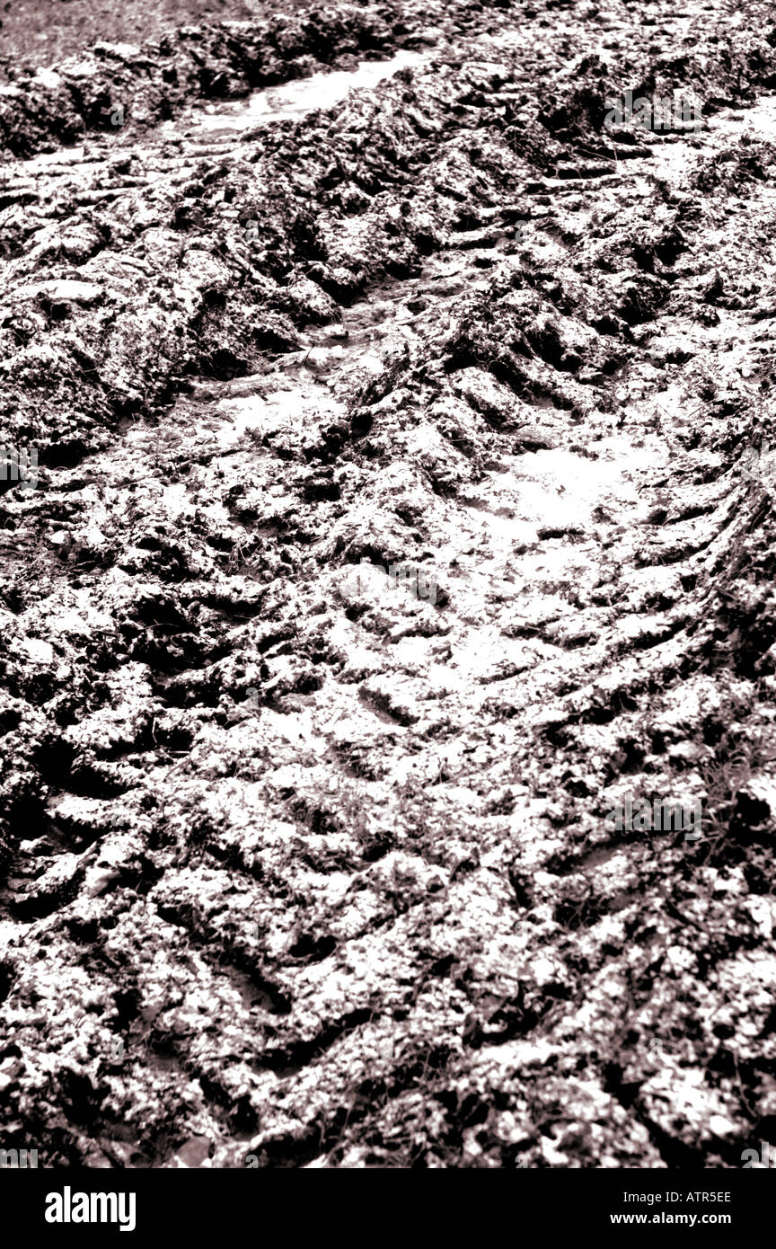 Coperta di neve le tracce sul campo fangoso Foto Stock