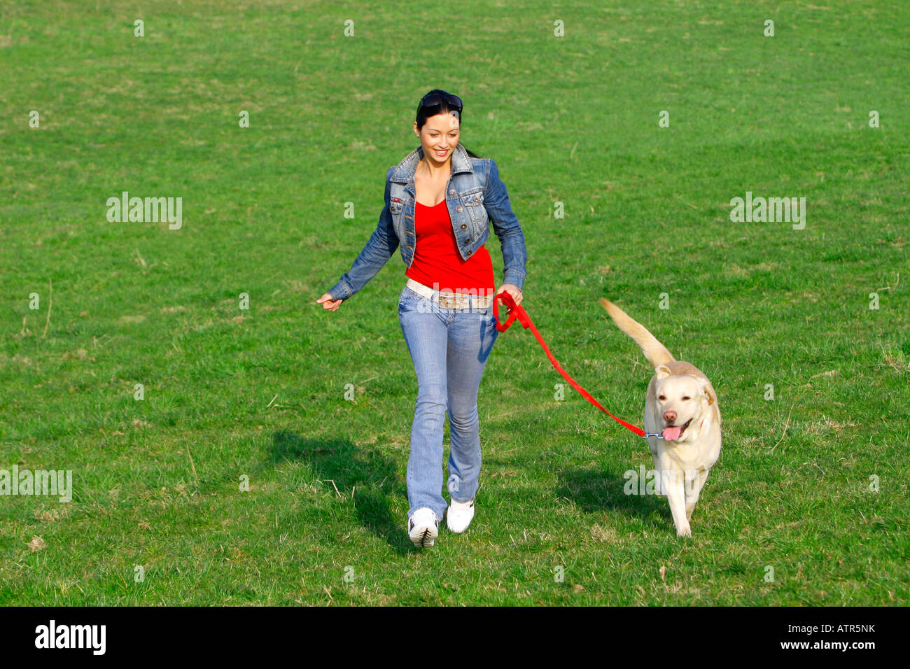 Donna con Labrador Retriever Foto Stock