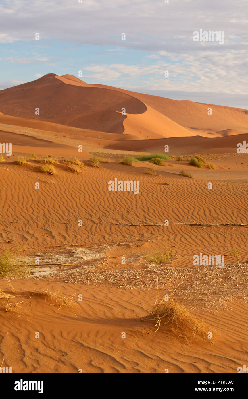 Le Dune Sousouvlei in Namibia in Africa Foto Stock