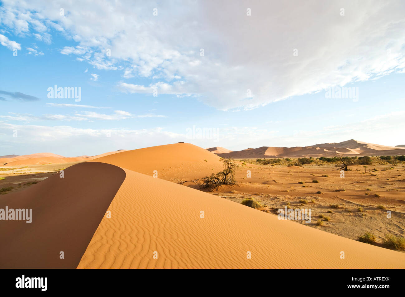 Le Dune Sousouvlei in Namibia in Africa Foto Stock