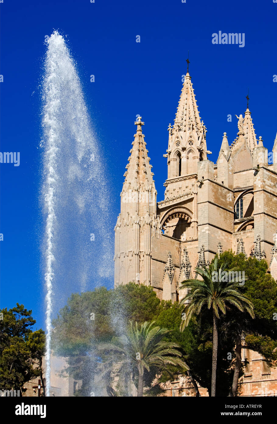 Palma de Mallorca cattedrale Foto Stock