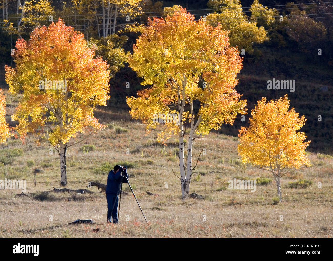 Fotografo Foto Stock