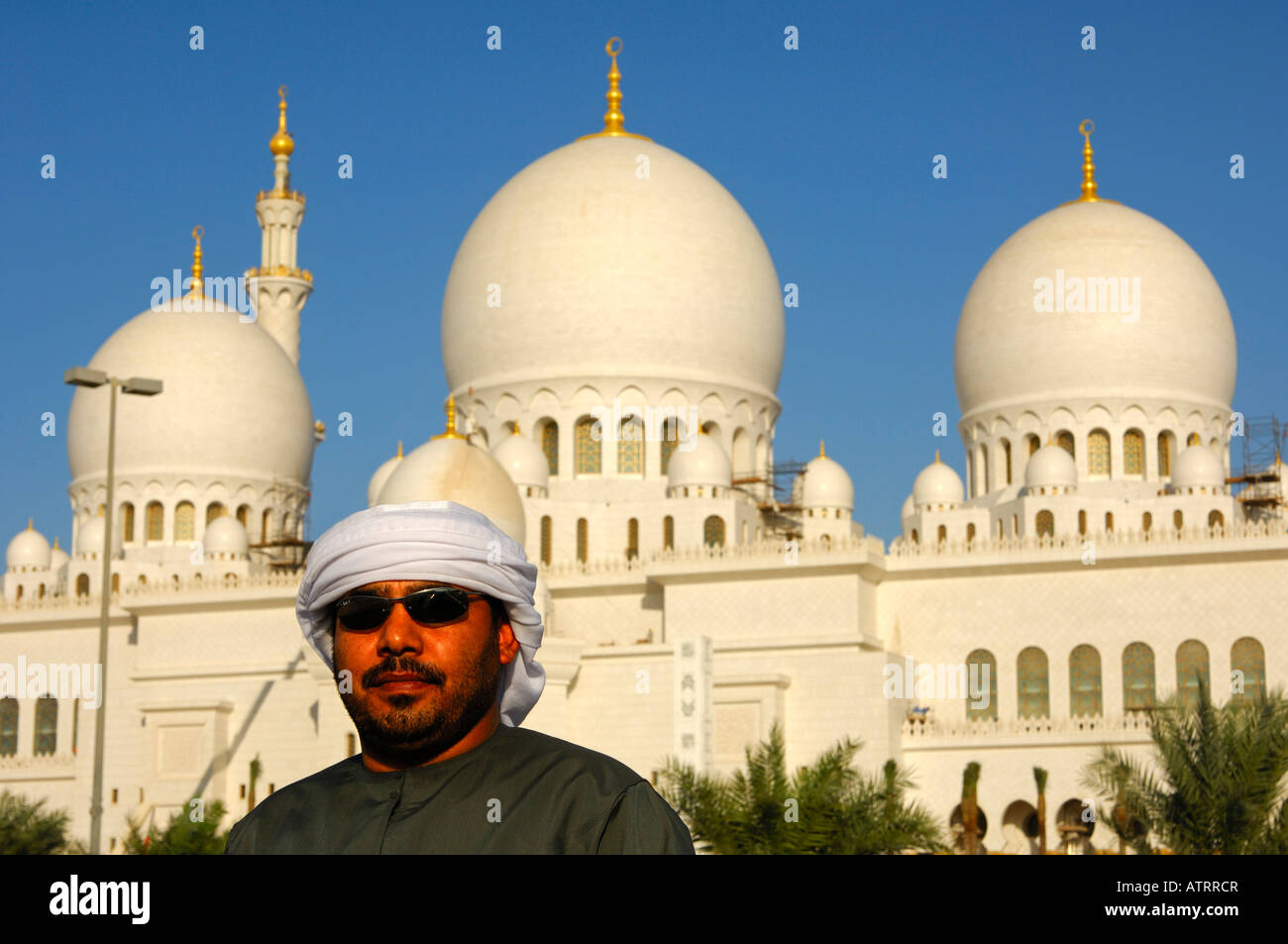Le cupole principale di Sheikh Zayed Bin Sultan Al Nahyan mosque grande Moschea di Abu Dhabi Emirati Arabi Uniti Foto Stock