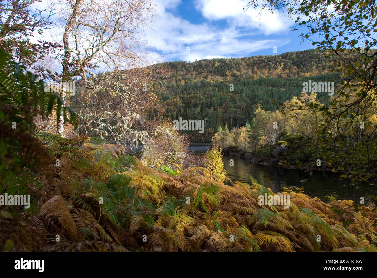 arrampicata Foto Stock