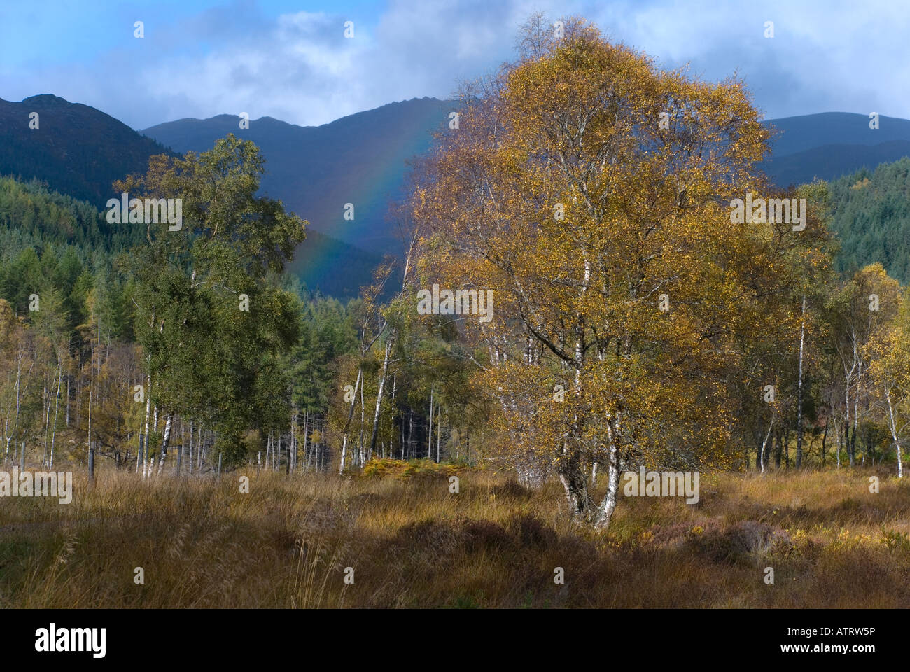 arrampicata Foto Stock