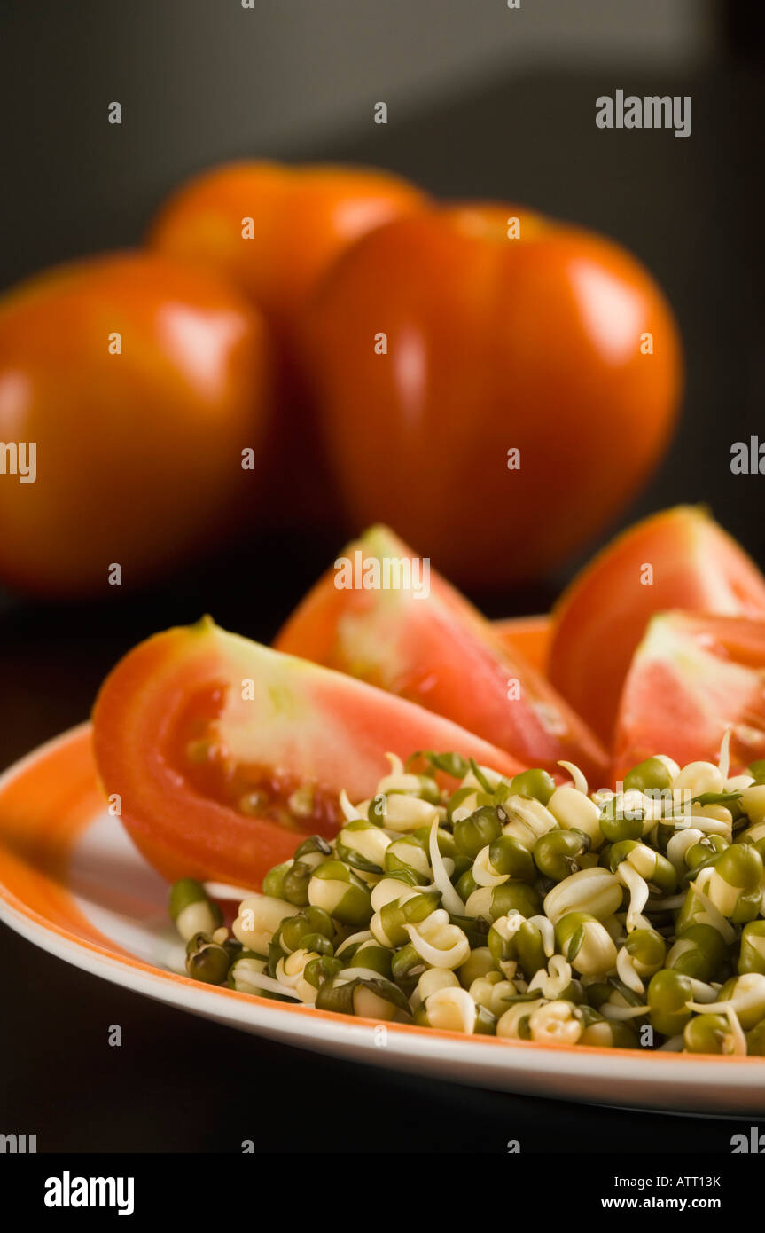 Close-up di una piastra del germoglio di fagiolo con fette di pomodoro Foto Stock