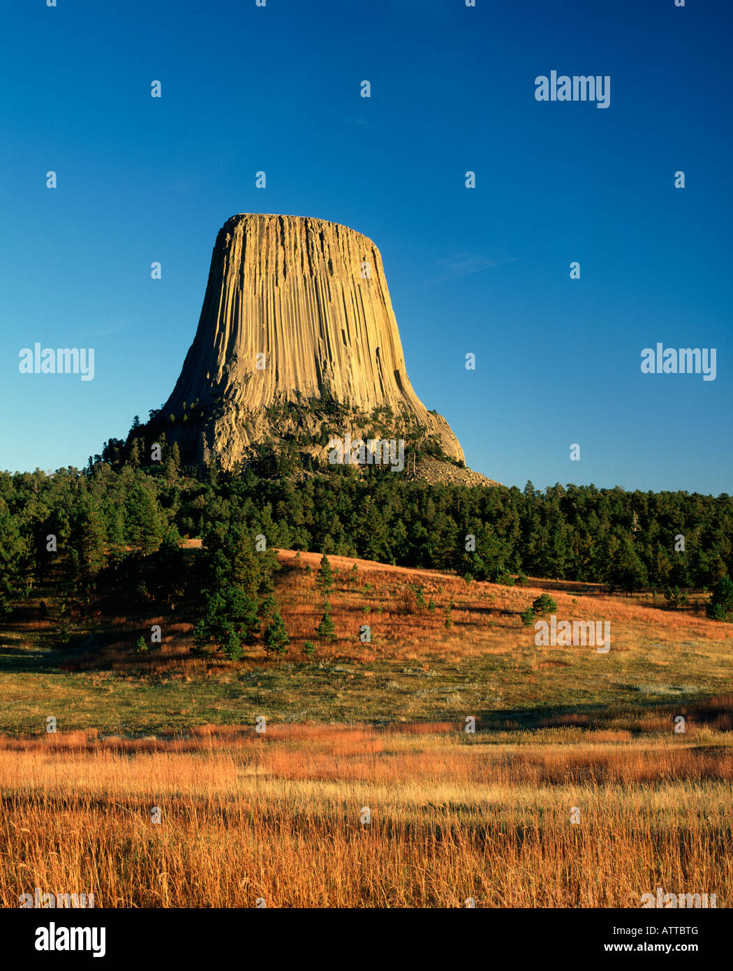 Devils Tower, Devils Tower National Monument, Wyoming Foto Stock